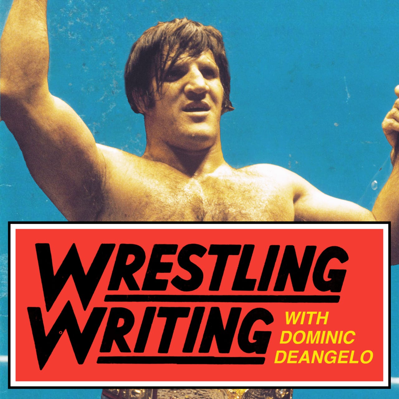 Wrestling Writing