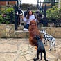 Valentina Ponce de León's avatar