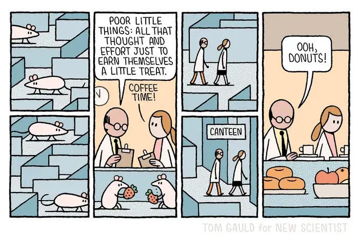 Panels one and two:
Two white mice make their way through a maze.
Panel three:
Having completed the maze, the two mice are rewarded with some fruit. Two scientists watch them. One says:
“Poor little things: all that thought and effort just to earn themselves a little treat.”
The second scientist looks at a clock and says: “Coffee time!”
Panels four and five:
The two scientists make their way through a maze of corridors to a door marked “Canteen”
Panel six:
The scientists look at the food on offer. One says: “Ooh, Donuts!” Panels one and two:
Two white mice make their way through a maze.
Panel three:
Having completed the maze, the two mice are rewarded with some fruit. Two scientists watch them. One says:
“Poor little things: all that thought and effort just to earn themselves a little treat.”
The second scientist looks at a clock and says: “Coffee time!”
Panels four and five:
The two scientists make their way through a maze of corridors to a door marked “Canteen”
Panel six:
The scientists look at the food on offer. One says: “Ooh, Donuts!”