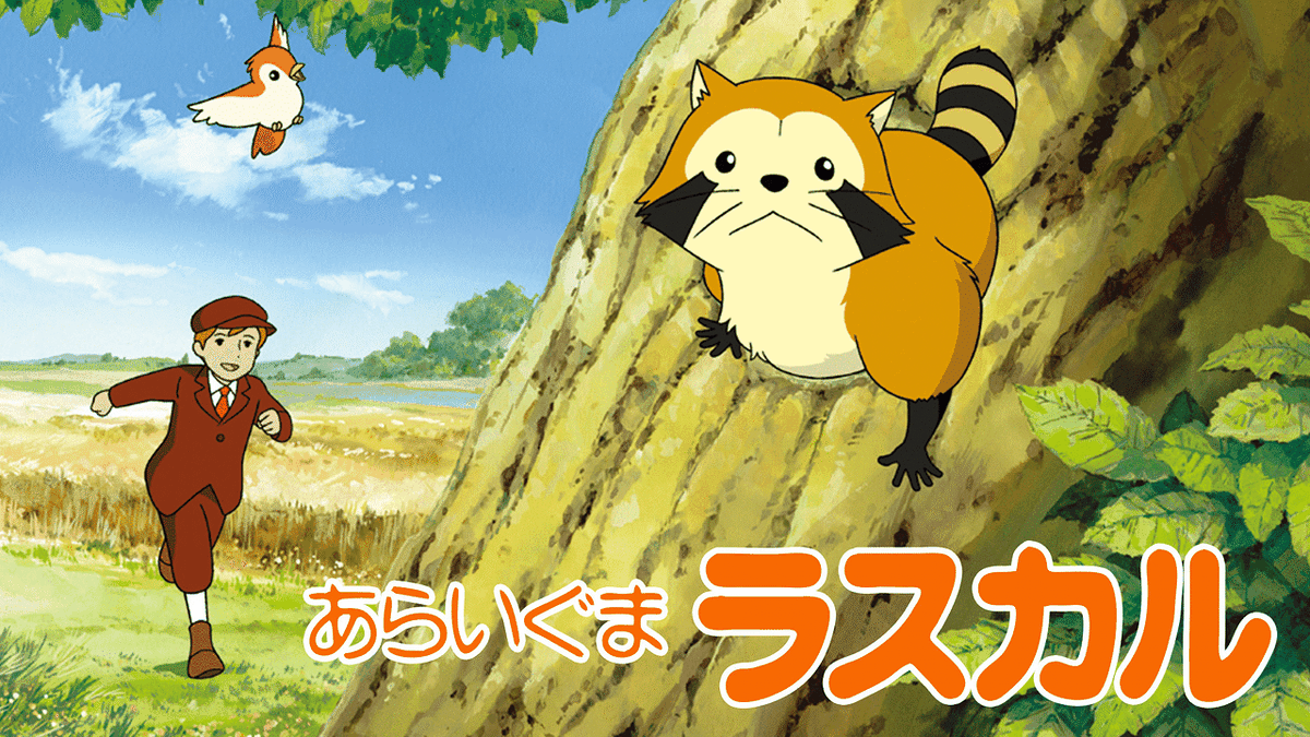 Rascal the Raccoon Anime Gets New Spin-Off Series in 2025 - Crunchyroll News