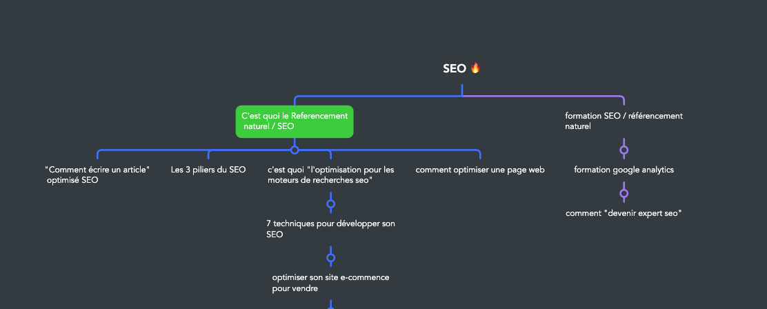ça c'est un cocon sémantique ça te permet d'organiser tes contenus et d'avoir une vision 360°