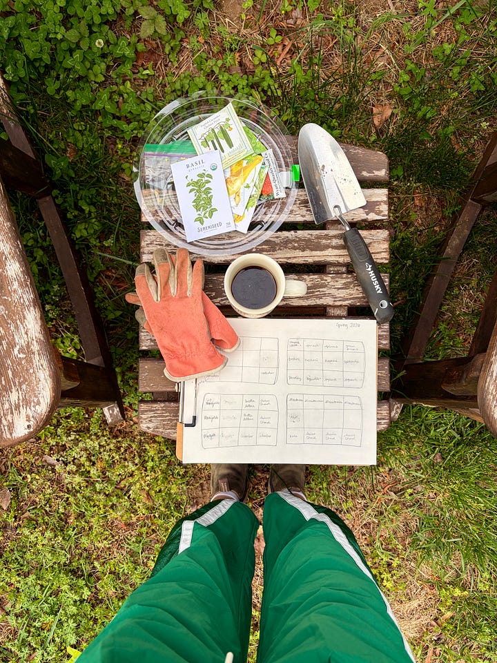 planting a garden and garden boxes with flourishing greens