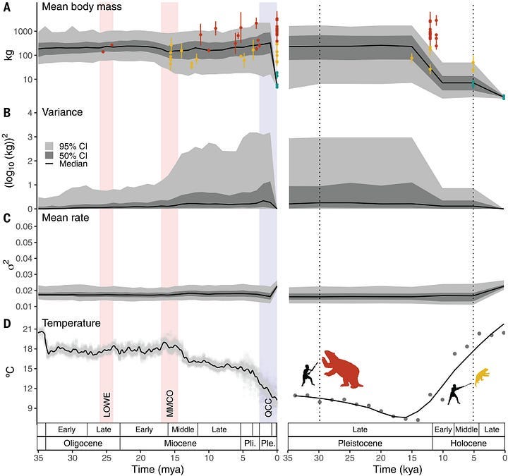 35 Million Years of Sloths & How Giants Rose and Fell
