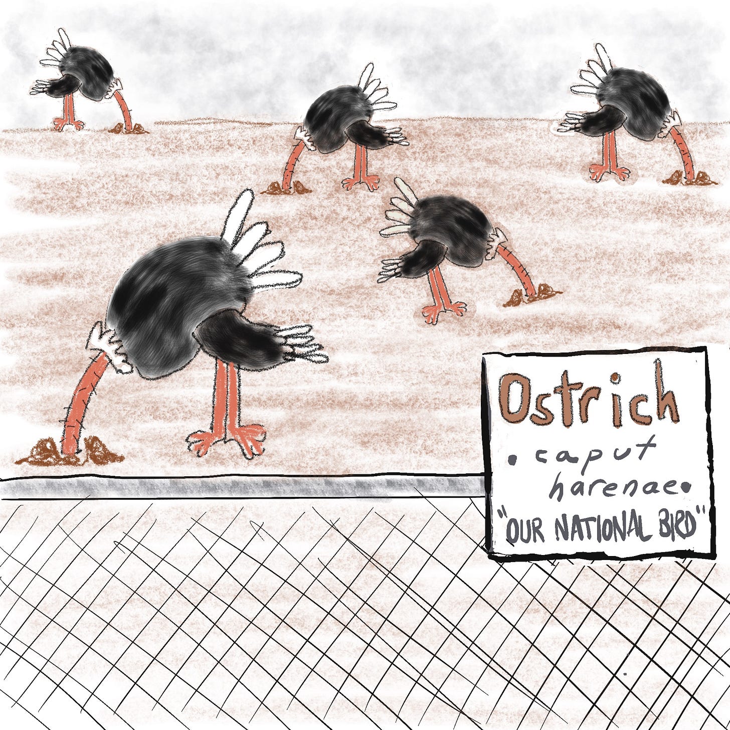 Ostriches as the U.S. national bird