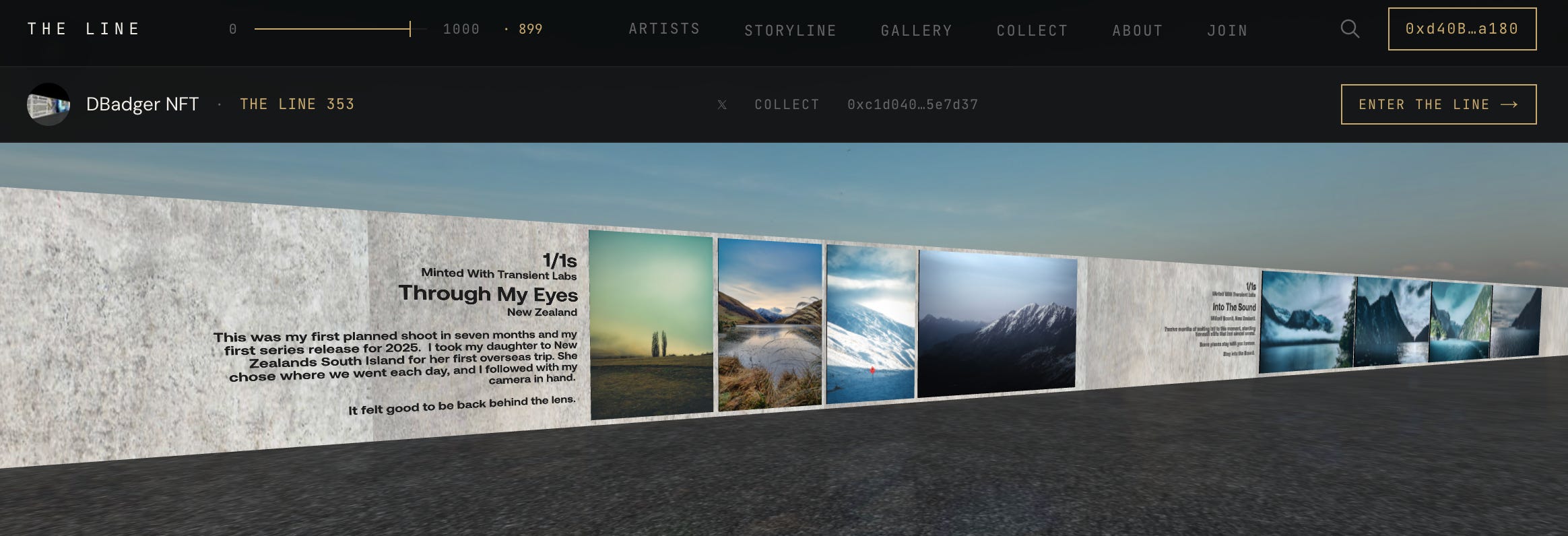 DBadger New Zealand photography