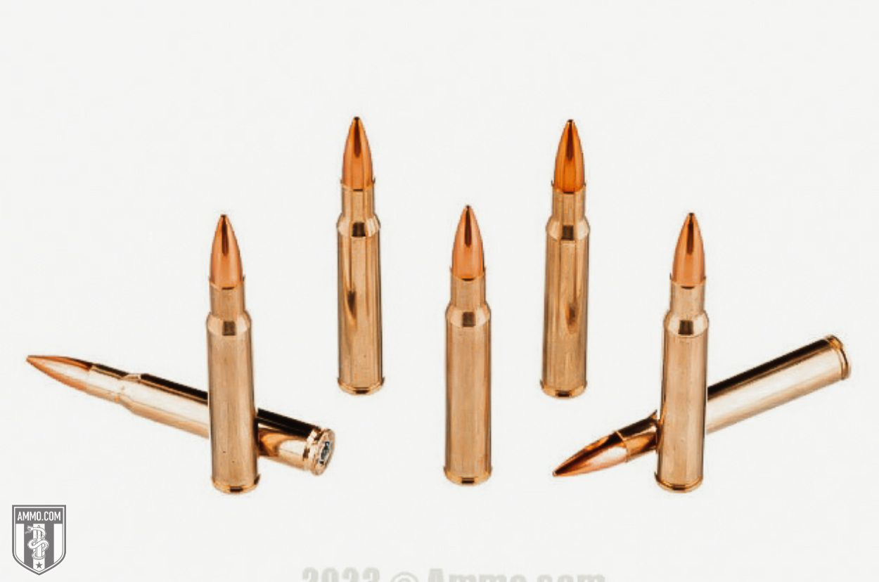 Golden Bear ammo for sale
