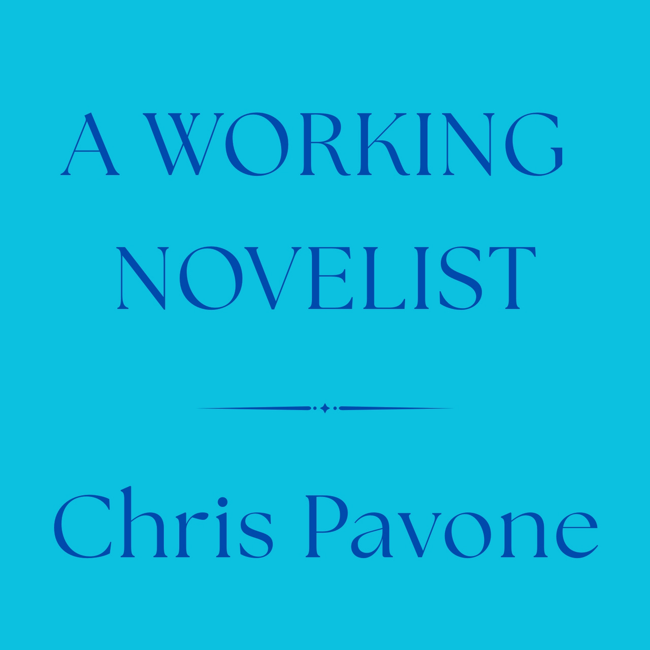 A Working Novelist