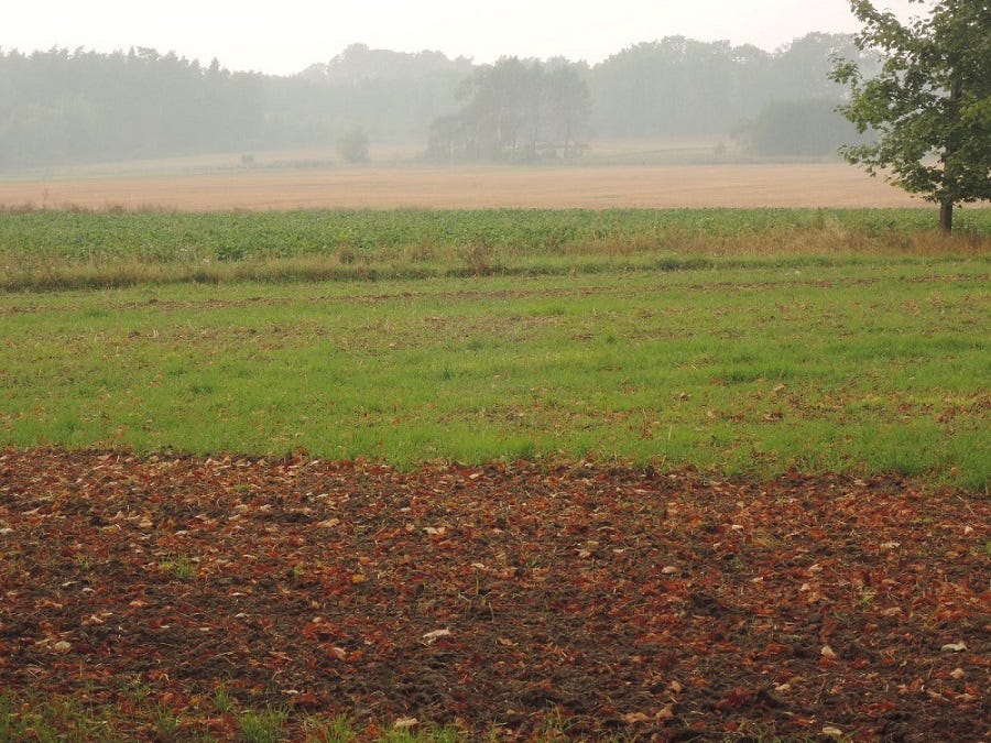 Llanuras polacas, campos otoñales
