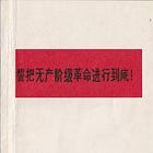 书籍考古 | “两个凡是”期间江西共大的宣传小册