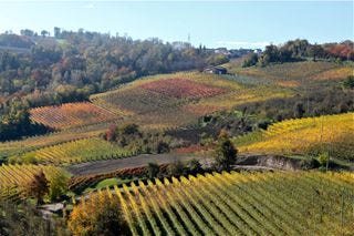 Prima - Barolo countryside - so beautiful Prima - Barolo countryside - so beautiful