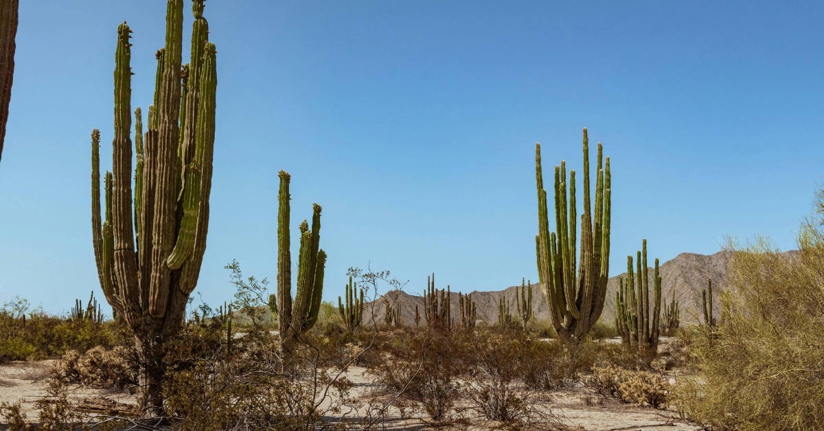 Hermosillo drought Hermosillo drought