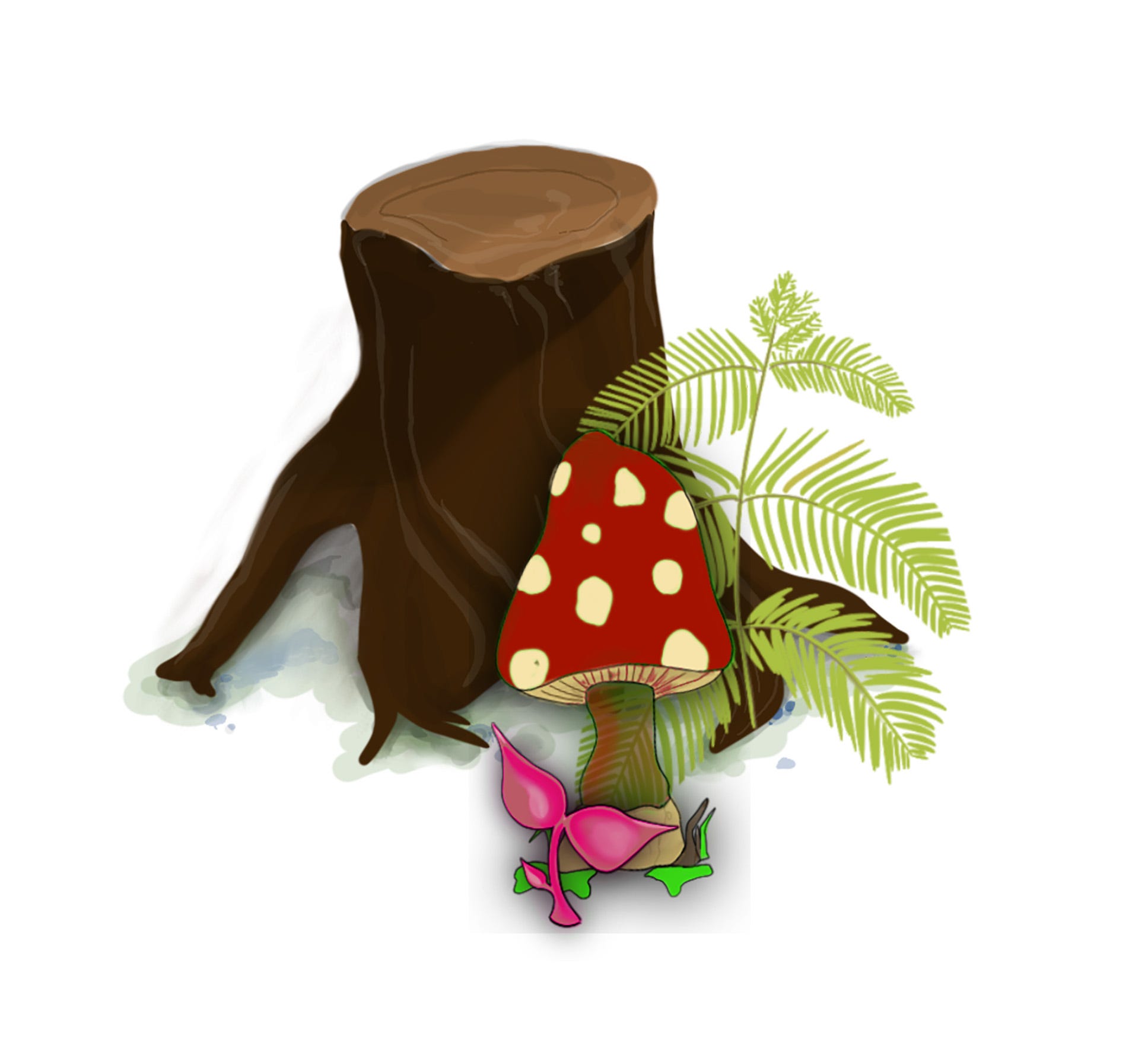 The Enchanted Forest