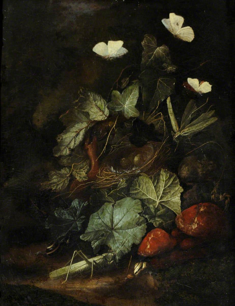 Ground level still life with a frog