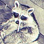 Laeth's avatar