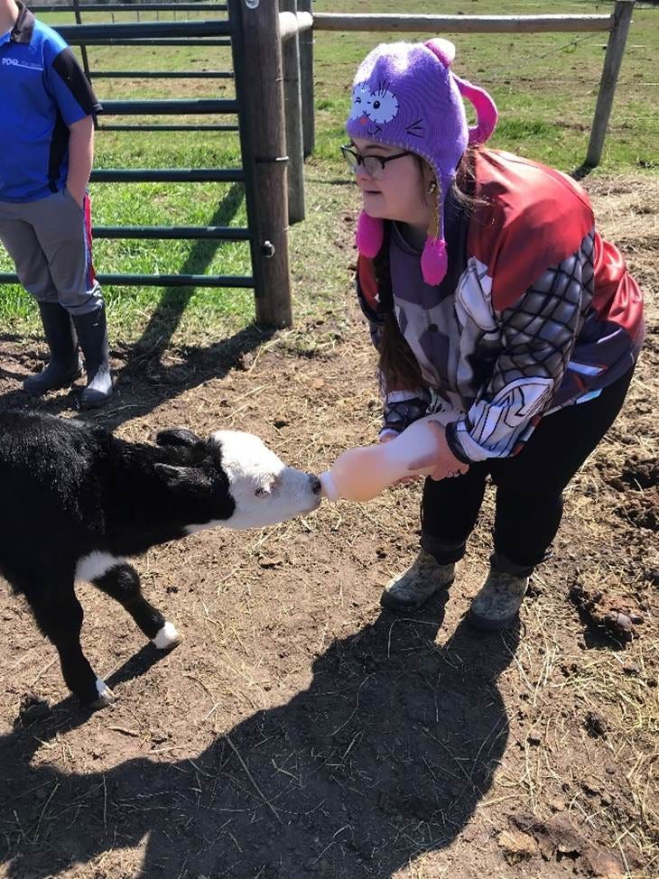 A person petting a baby goat

AI-generated content may be incorrect.