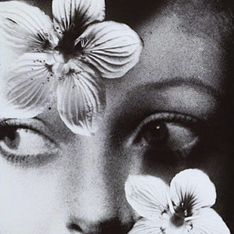 your black dahlia
