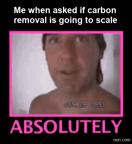 Animated. Text: "Me when asked if carbon removal is going to scale." A shirtless man in a red cap talks to a 1991-dated camcorder while pink text below holds on "ABSO" and then lands on "ABSOLUTELY".