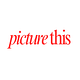 picture this