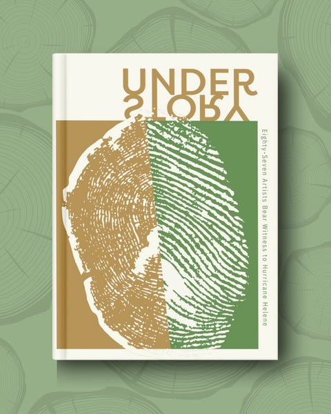 Understory: A Full-Color Anthology for Hurricane Helene Recovery