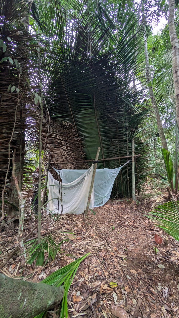 Dave cutting some palm leaves for our dinner plates; our hammocks tucked under a palm leaf shelter.