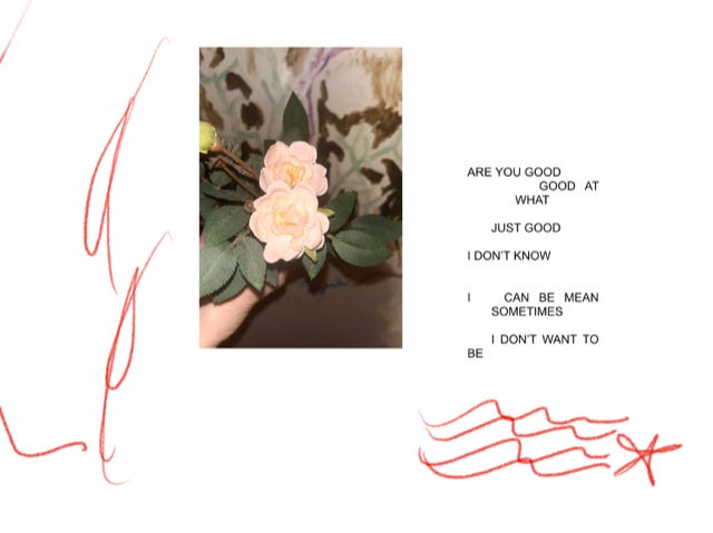 text (R) and image (L) side-by-side, the image is of an artificial plant and there are loose red markings to bring the piece together into a coherent whole. markings include a star and wave-like shapes to the right. the text reads: ‘AR EYOU GOOD GOOD AT WHAT JUST GOOD I DON’T KNOW I CAN BE MEAN SOMETIMES I DON’T WANT TO BE’