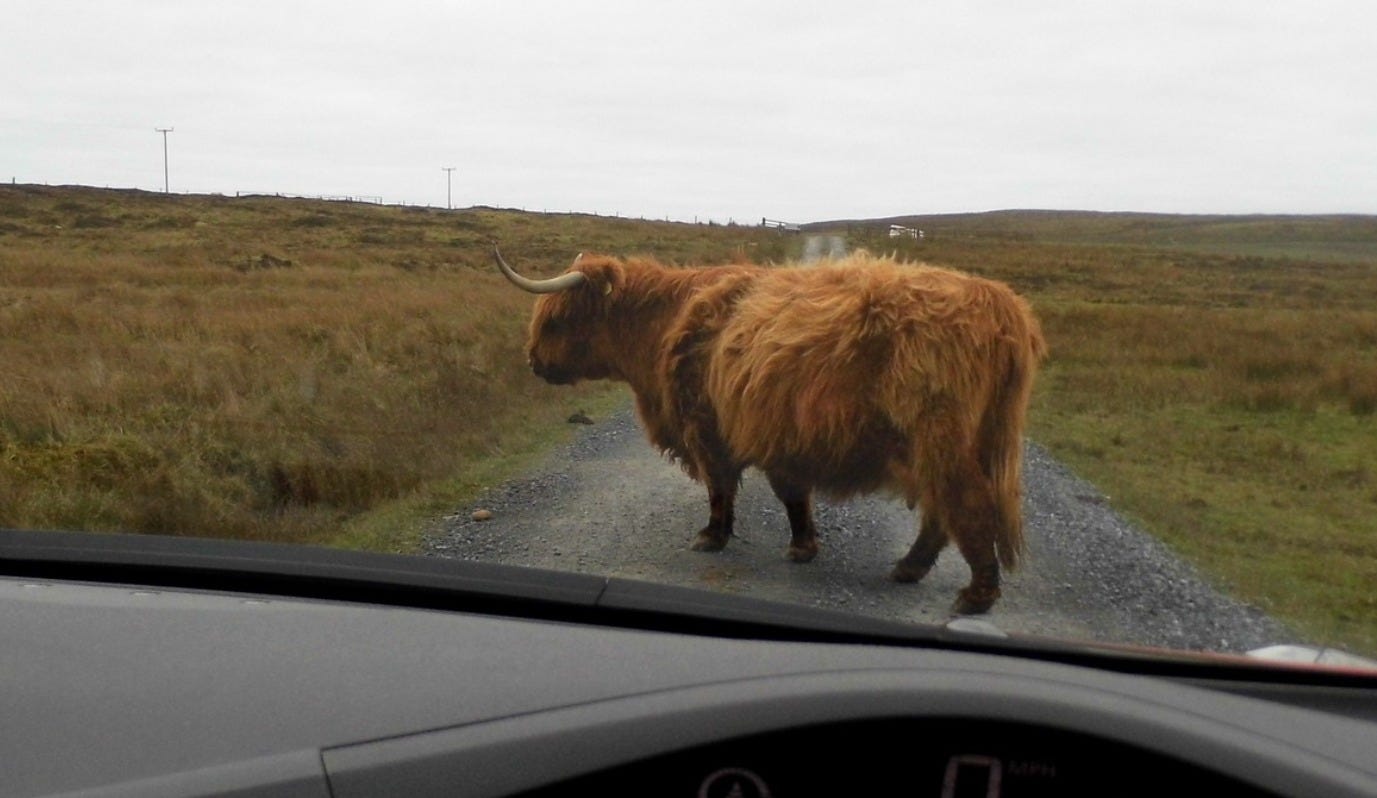 No photo description available.