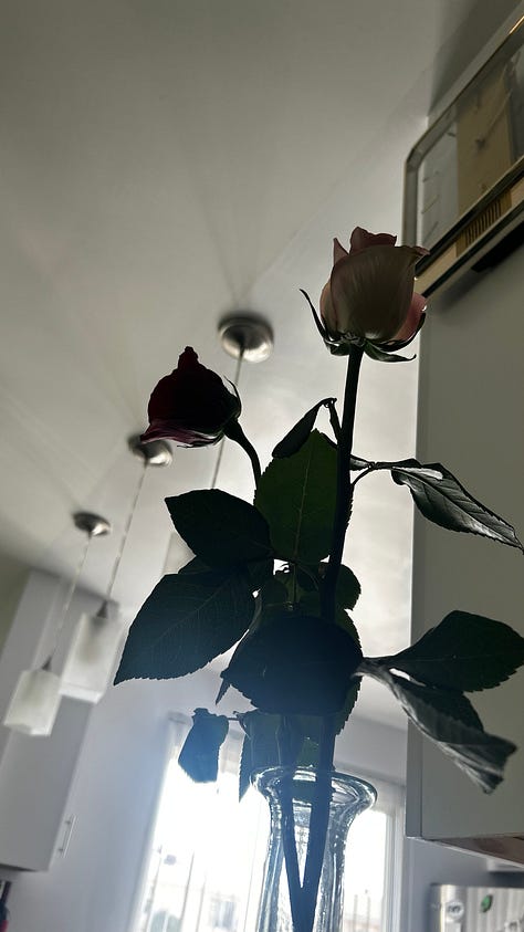 A quiet collection of feminine rituals in a woman’s 30s—fresh flowers on a table, a warm cup of coffee during a morning walk, and simple healthy meals, capturing a calm, intentional rhythm of care and becoming.