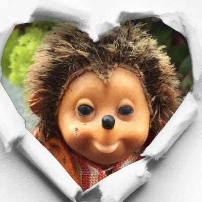 The Hogg-Pen Newsletter