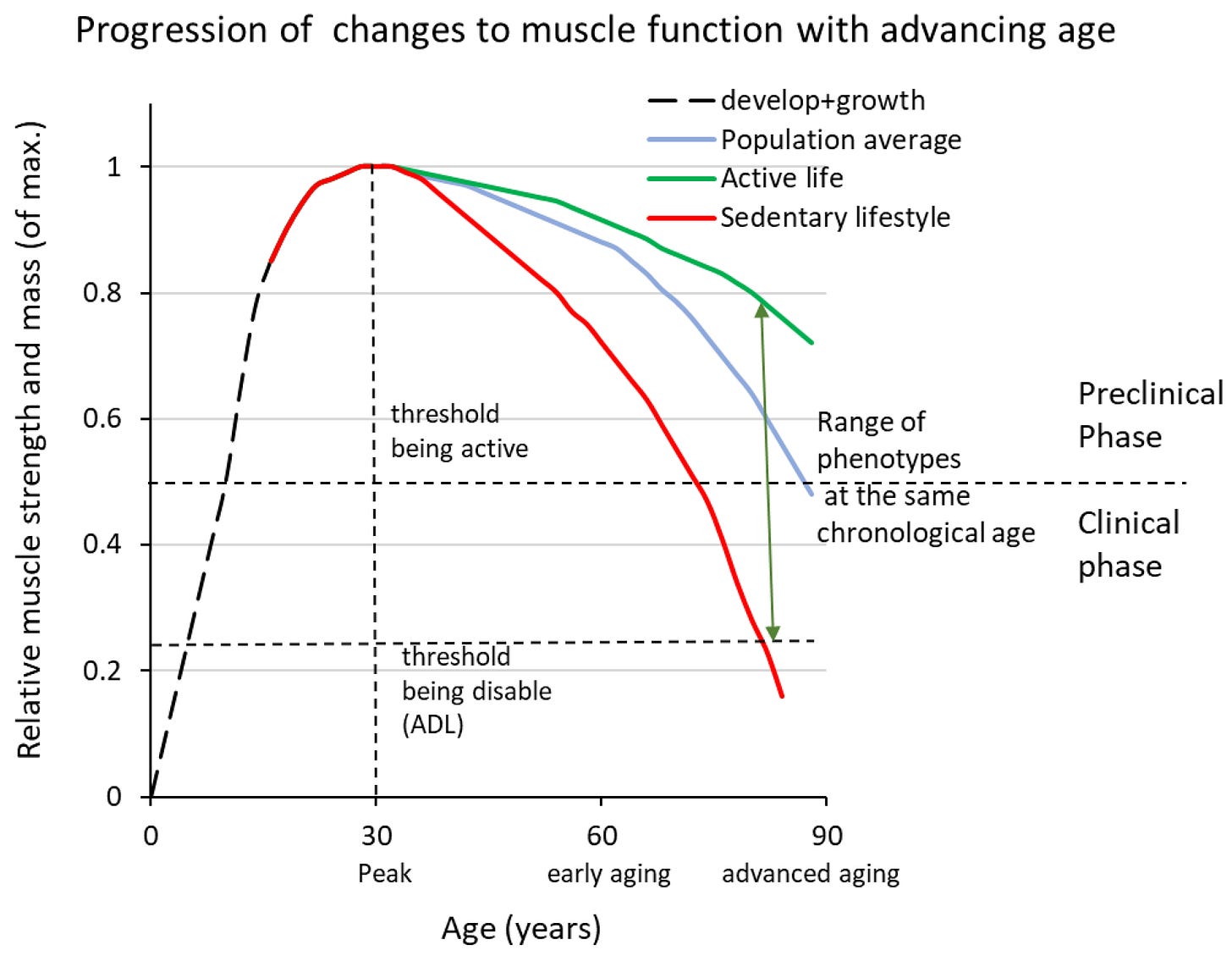 Graph showing muscle mass decline with age comparing women who strength train versus sedentary women showing disability threshold Graph showing muscle mass decline with age comparing women who strength train versus sedentary women showing disability threshold