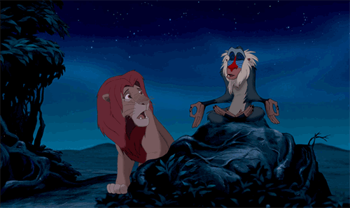 Gif da "Il re leone" con sfondo notturno con cielo stellato e alberi sulla sinistra. Al centro della scena il babbuino Rafiki seduto a gambe incrociate su una roccia mentre dice qualcosa, a occhi chiusi. Il leone Simba lo ascolta con faccia stupita, alla sua sinistra.