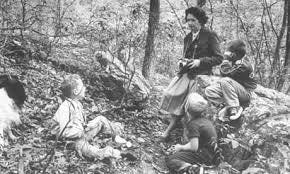 Rachel Carson and the legacy of Silent Spring | History of science | The Guardian Rachel Carson and the legacy of Silent Spring | History of science | The Guardian