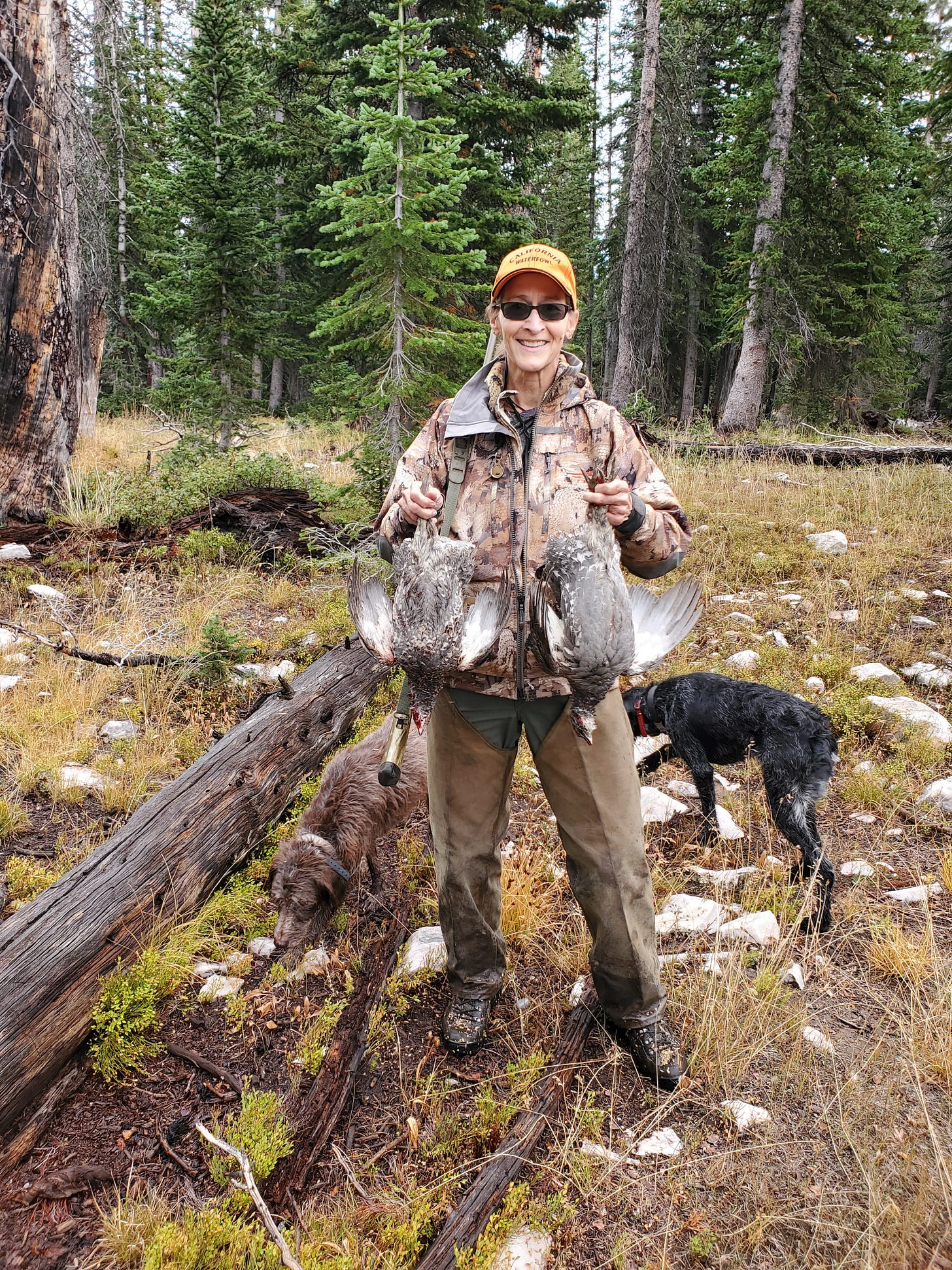Holly with two blue (dusky) grouse