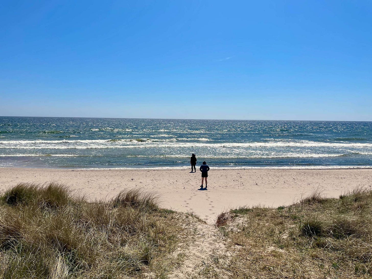 Two figures in the center of the image silhouetted agains the ocean. Two figures in the center of the image silhouetted agains the ocean.