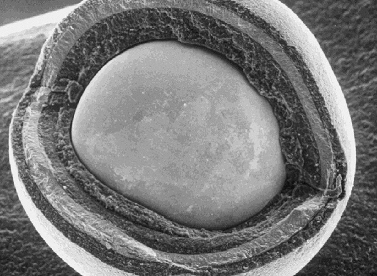 Image related to TRISO Particles > Photos