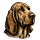 The Dusty Muzzle