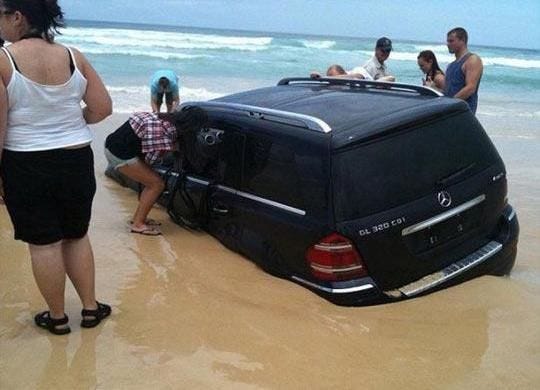 The MOTOR bible on Twitter | Funny pictures, Dumb people, Funny photos
