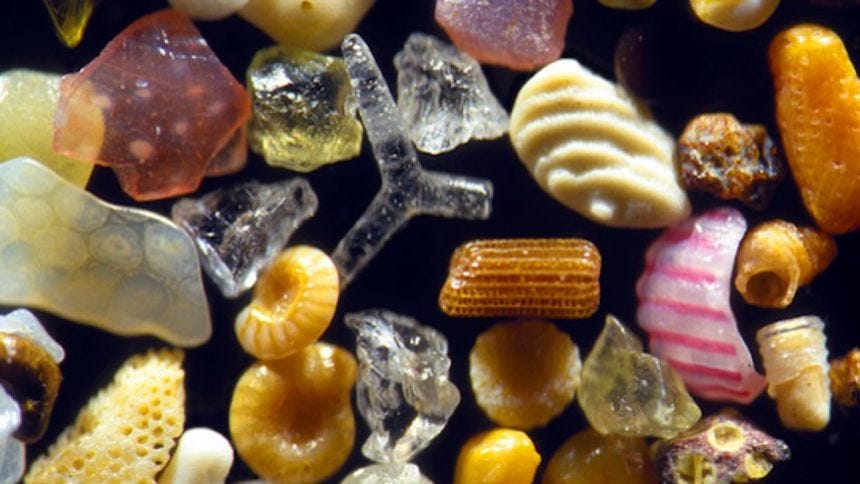 Magnified Photos Expose the Secret Beauty of Sand Grains