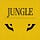 X avatar for @JUNGLE_win_