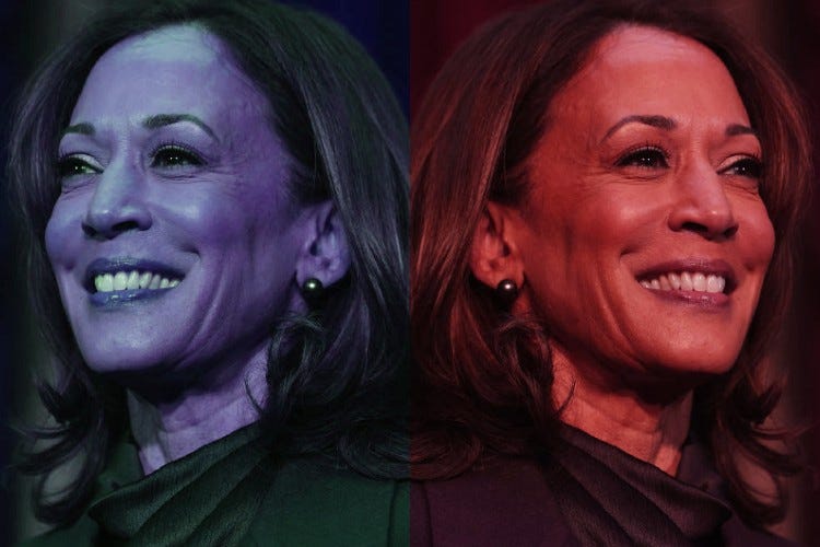 Did Harris Lose Because She Ran to the Center, or Because She Didn't Run to the Center ENOUGH?