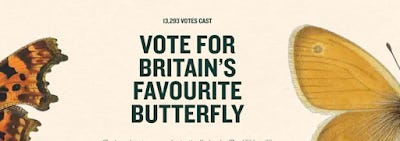 Logo for Vote for Britain's favourite Butterfly Logo for Vote for Britain's favourite Butterfly