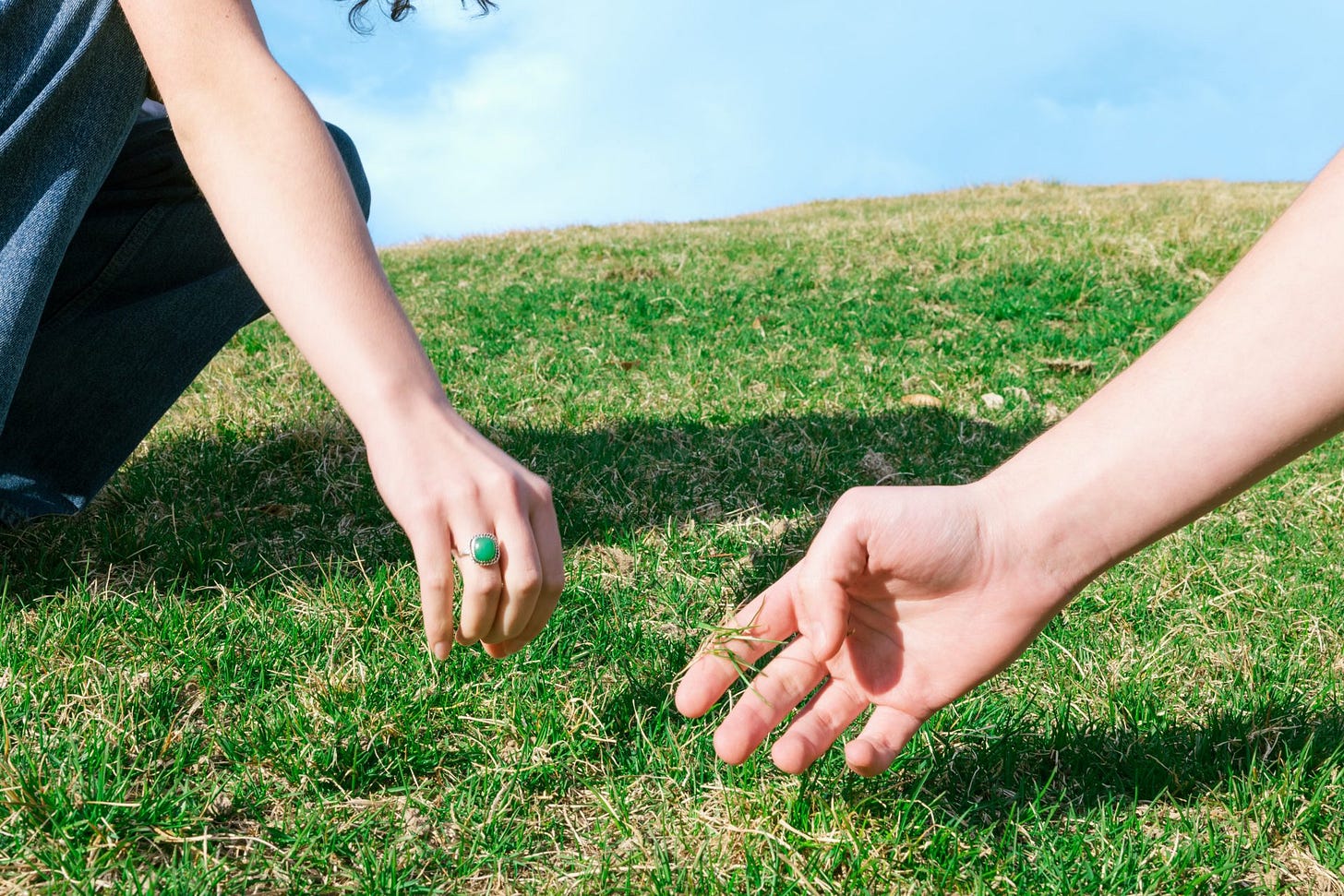 Go touch grass: Logging off and going outside can help you reset – The  Arbiter