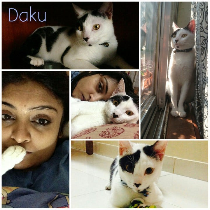 collage_20150304232117446_20150304232225968 collage_20150304232117446_20150304232225968