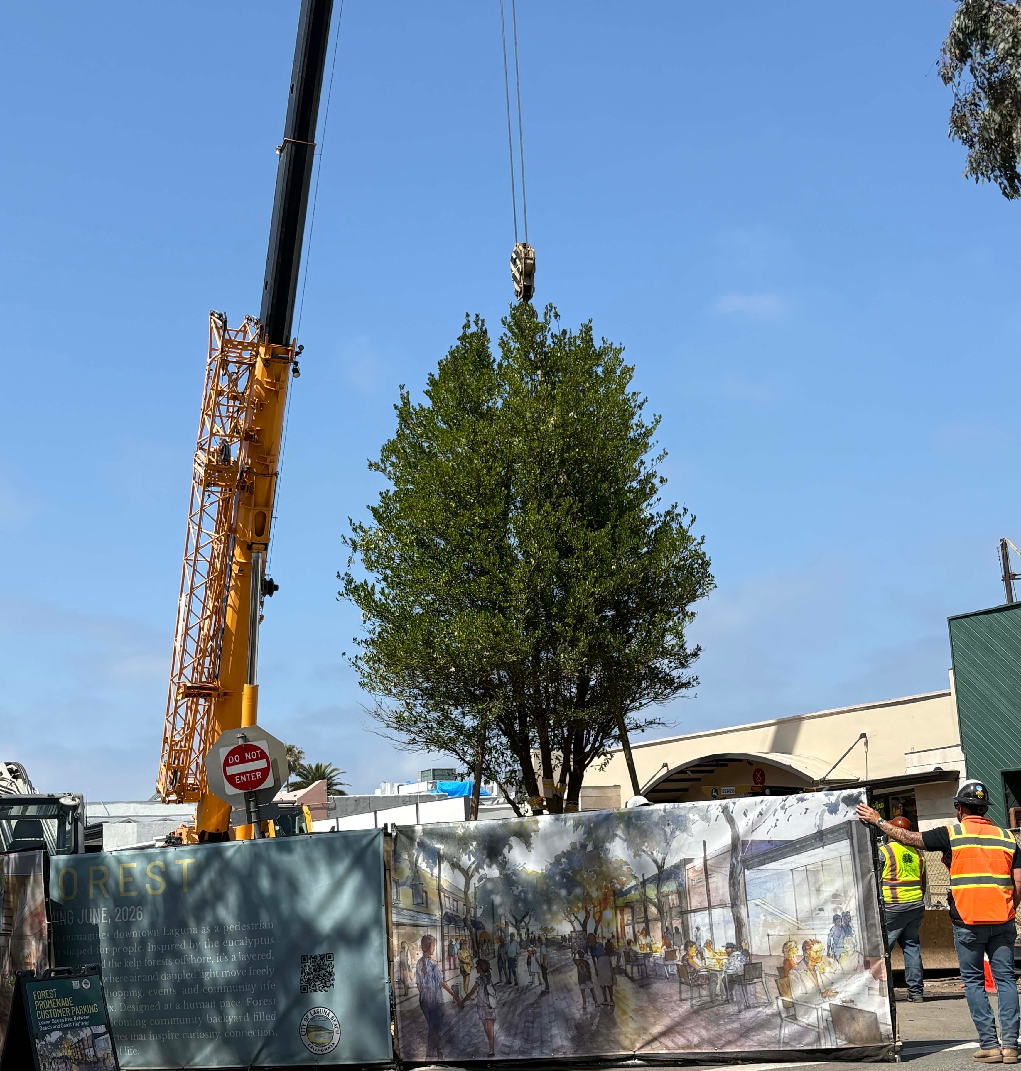 Laguna Beach Town Hall Reveals Rising Tensions Over Costs, Growth