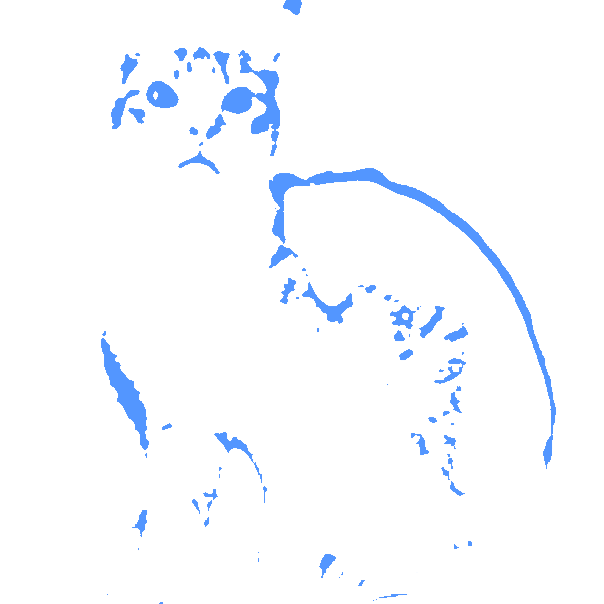 Substack profile picture for @magnolia