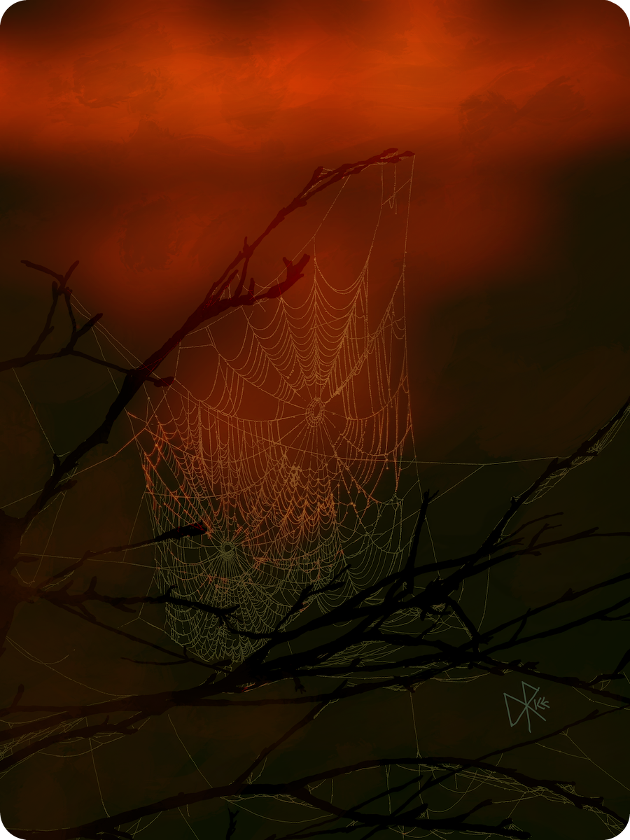 Weighed down by collected rain drops, a large spiderweb hangs loosely from branches as the sun sets. Sketch art by Don Rice.