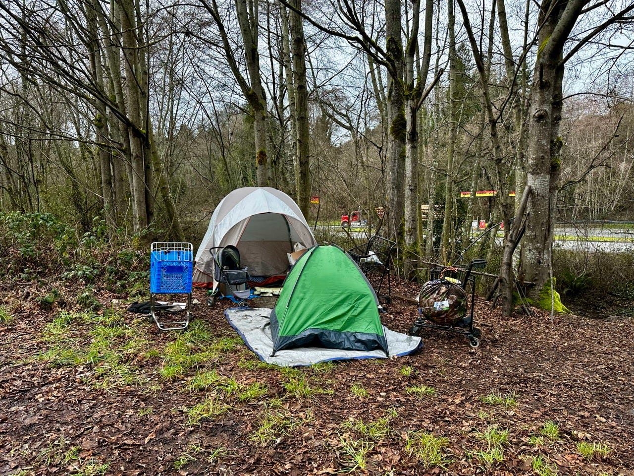A group of tents in the woods

Description automatically generated