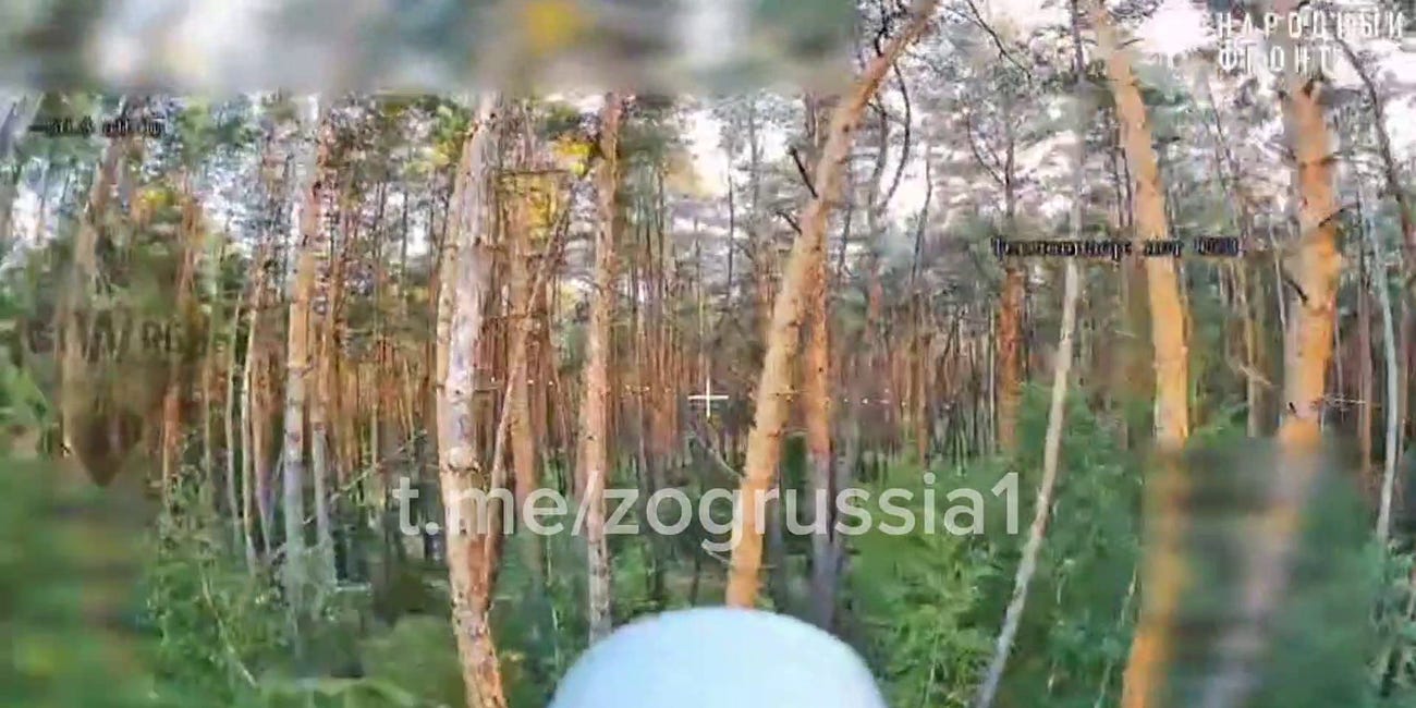 Video Documents Fiber-Optic "FPV" Multirotor Drone Employment In Dense Vegetation