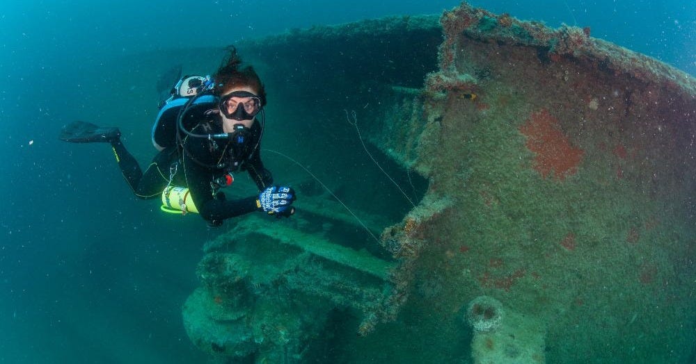 Eagle | Florida Keys National Marine Sanctuary