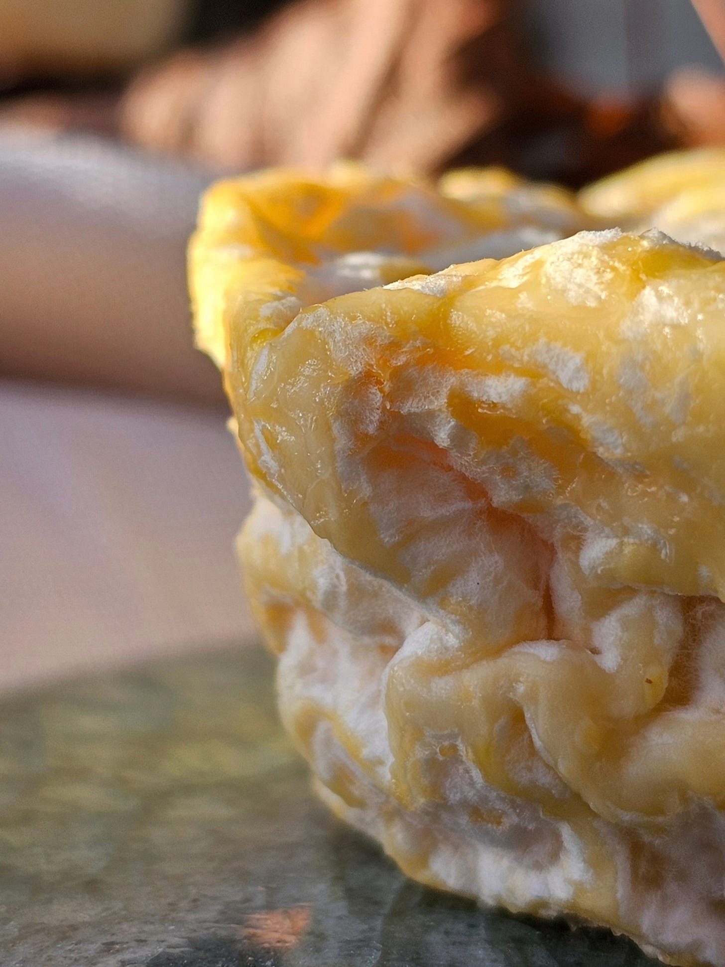 A close up shot of a cheese rind on top of a green plate A close up shot of a cheese rind on top of a green plate
