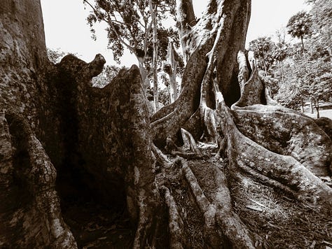 Images of Sri Lanka